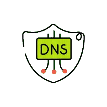 DNS Lookup Tool